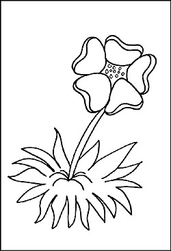 Malvorlage Blume