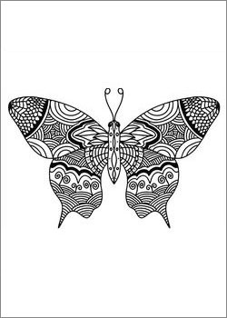Schmetterling Ausmalbilder für Erwachsene kostenlos Drucken