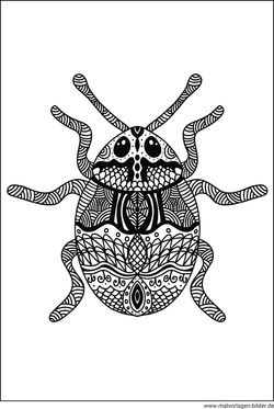 Tier-Mandala Käfer für Erwachsene Ausmalbild
