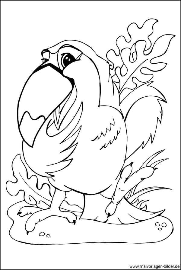 Tukan Vogel - kostenloses Ausmalbild für Erwachsene