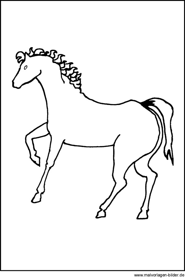 kostenlose malvorlage von einem pferd und window color