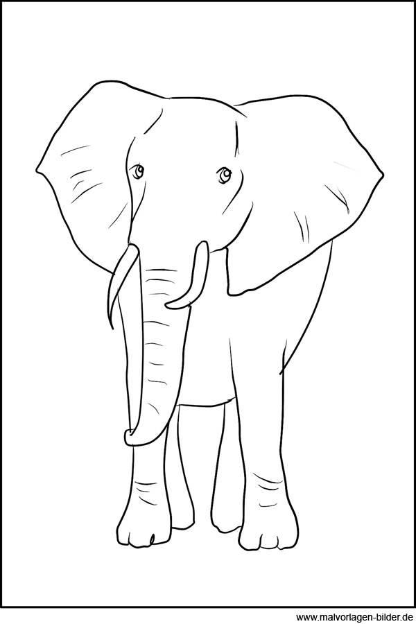 elefant  ausmalbild zum ausdrucken