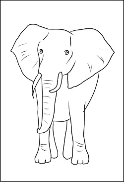 Malvorlage Elefant