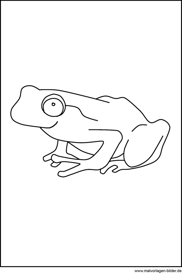 Frosch - Malvorlage und Ausmalbild