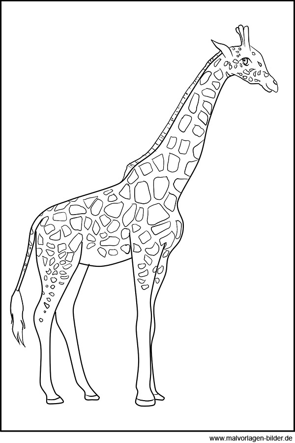 ausmalbilder giraffe