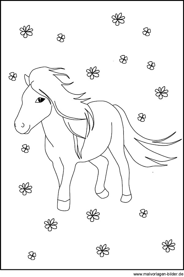 kostenloses Ausmalbild Pony