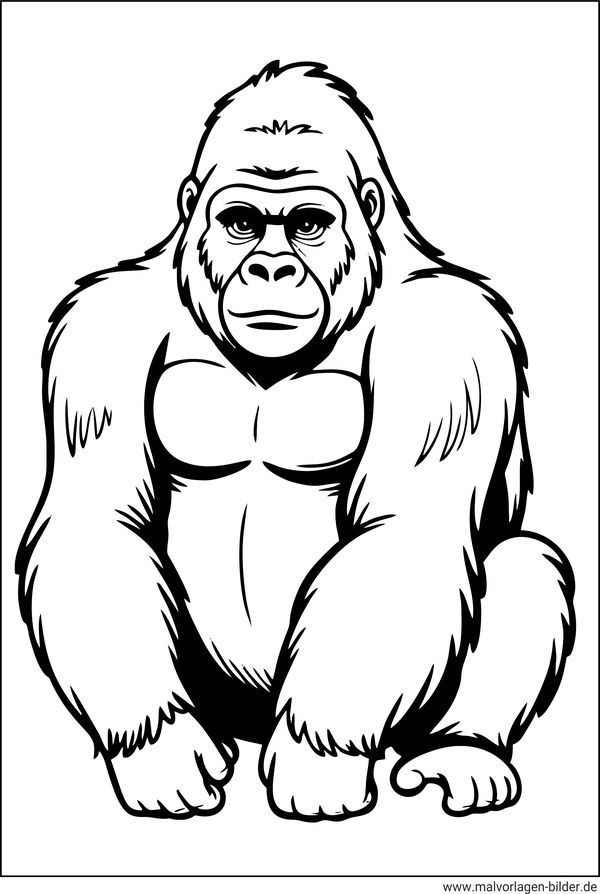 Malvorlage Gorilla