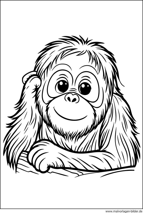 Oirang-Utan Baby Ausmalbild