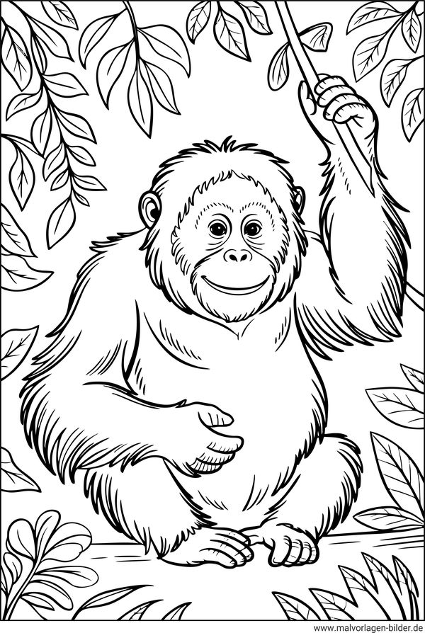 Orang-Utan Affe Ausmalbild