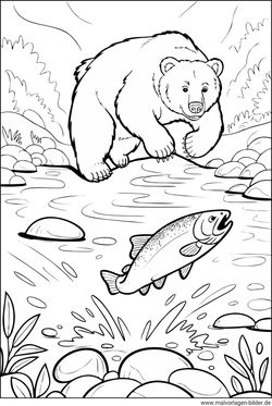 Bär am Fluß beim fischefangen Ausmalbild