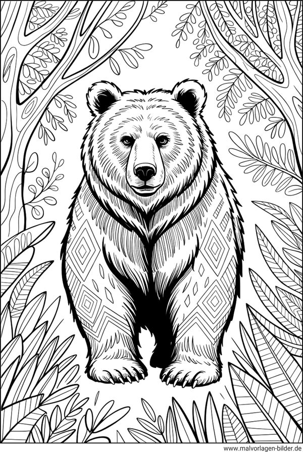 Bär Ausmalbild für Erwachsene