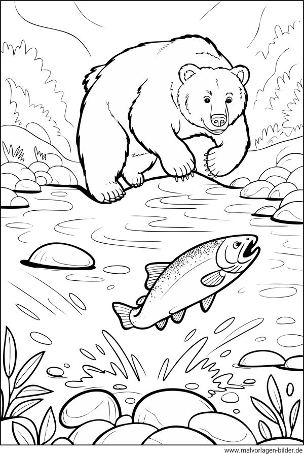 Bär beim Lachs fangen Ausmalbild