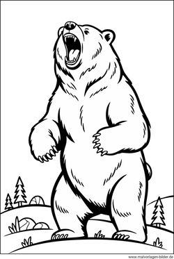 Bär brüllt Ausmalbild
