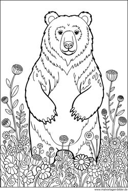 Bär in einer Blumenwiese Ausmalbild