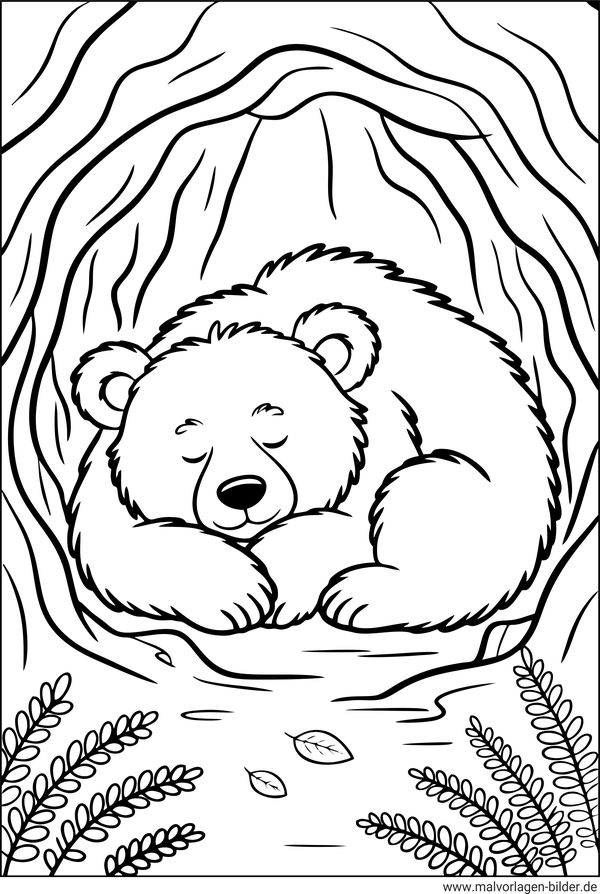 Bär schläft in einer Höhle Ausmalbild