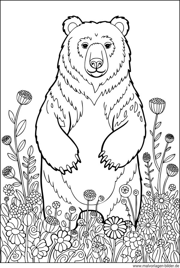 Bär in einer Blumenwiese Ausmalbild