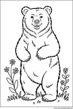 Braunbär Ausmalbild gratis download