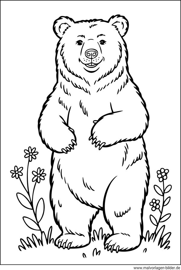 Braunbär Ausmalbild