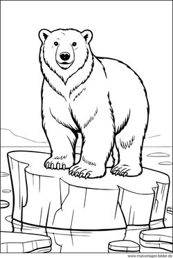 Eisbär Ausmalbild zum Ausdrucken