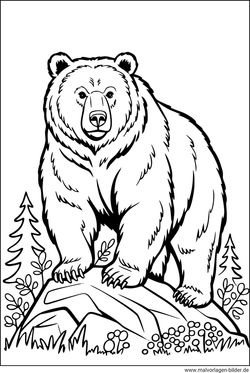 Grizzlybär zum Ausdrucken gratis Vorlage