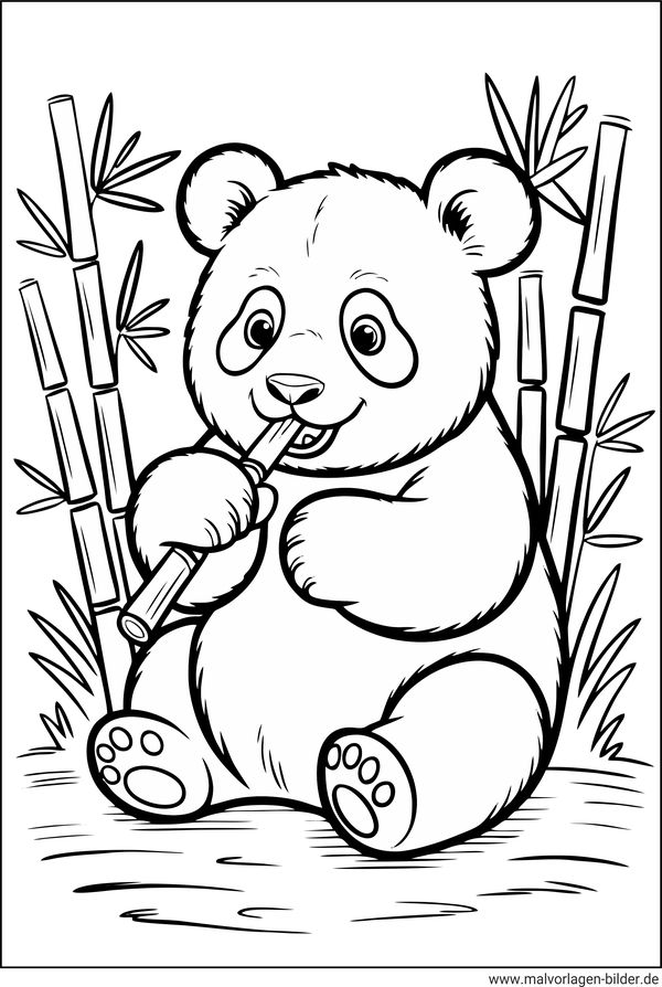 Panda frisst Bambus Ausmalbild
