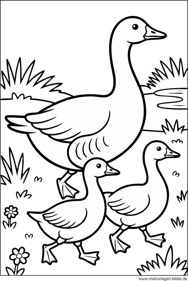 Gänse Ausmalbild