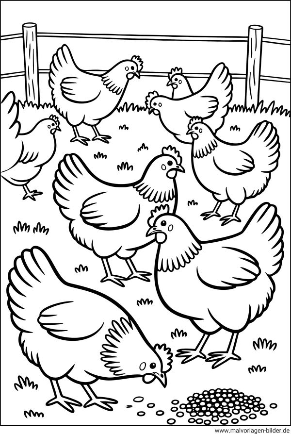 Hühner auf dem Bauernhof Ausmalbild