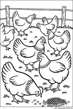Hühner Bauernhof Ausmalbild ausdrucken
