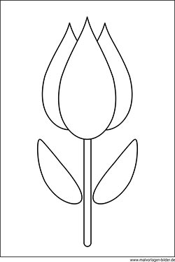 Tulpe Blumen-Ausmalbild