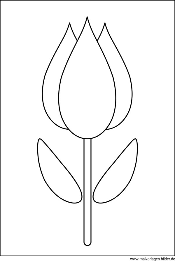 Ausmalbild Tulpe
