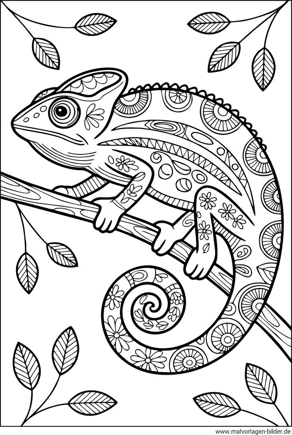 Ausmalbild Chamäleon mit Muster für Erwachsene