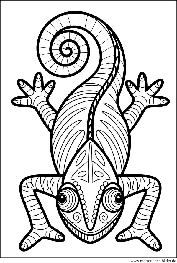 Ausmalbild Chamäleon von oben