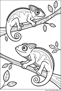 Ausmalbild zwei Chamäleons zum Drucken und Malen