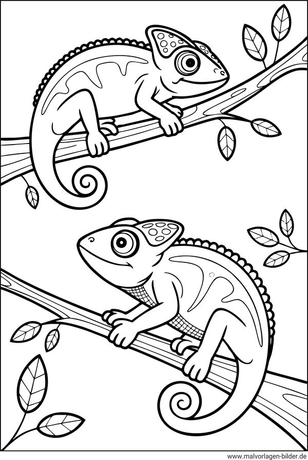 Ausmalbild zwei Chamaeleons