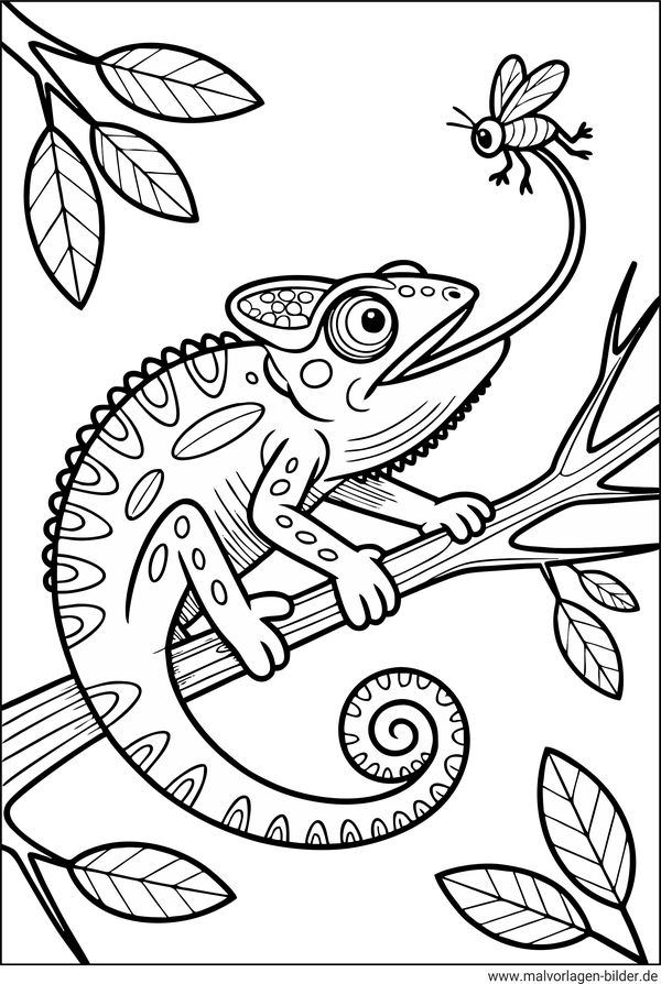 Ausmalbilder Chamäleon fängt ein Insekt