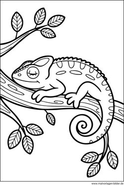 Ausmalbilder Chamäleon schläft auf einem Ast