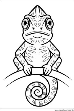 Chamäleon schaut dich mit seinen Augen an Ausmalbild