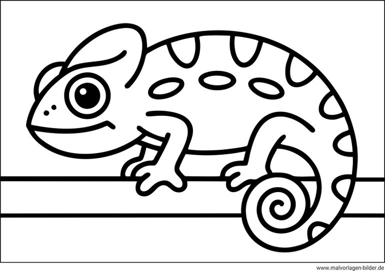 Chamäleon Ausmalbild einfach für Kinder