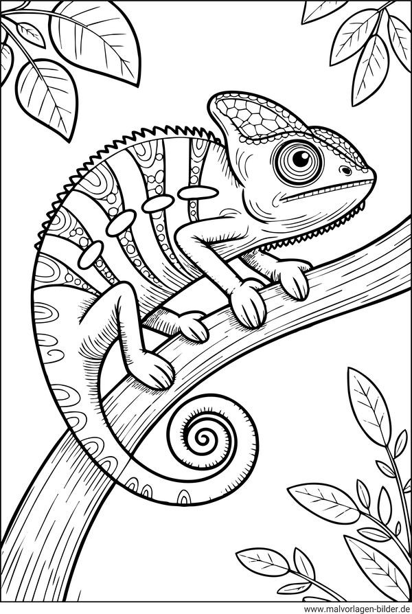 Chamäleon Ausmalbild für Erwachsene