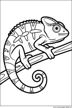 Chamäleon Ausmalbild kostenlos drucken