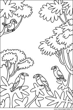 Dschungel Vögel Ausmalbild zum Ausdrucken