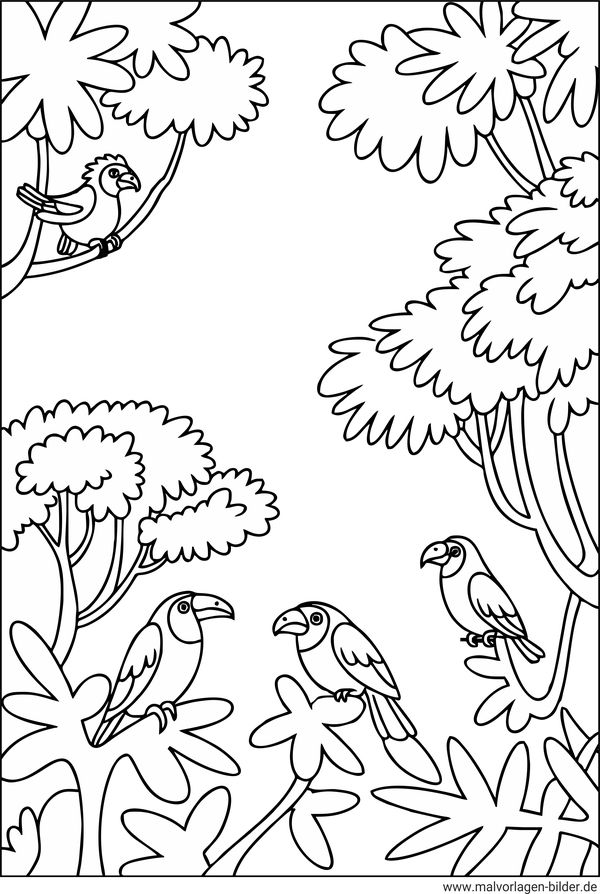 Dschungel und Vögel Ausmalbild