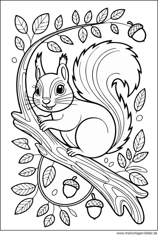 Ausmalbild Eichhoernchen auf einem Ast