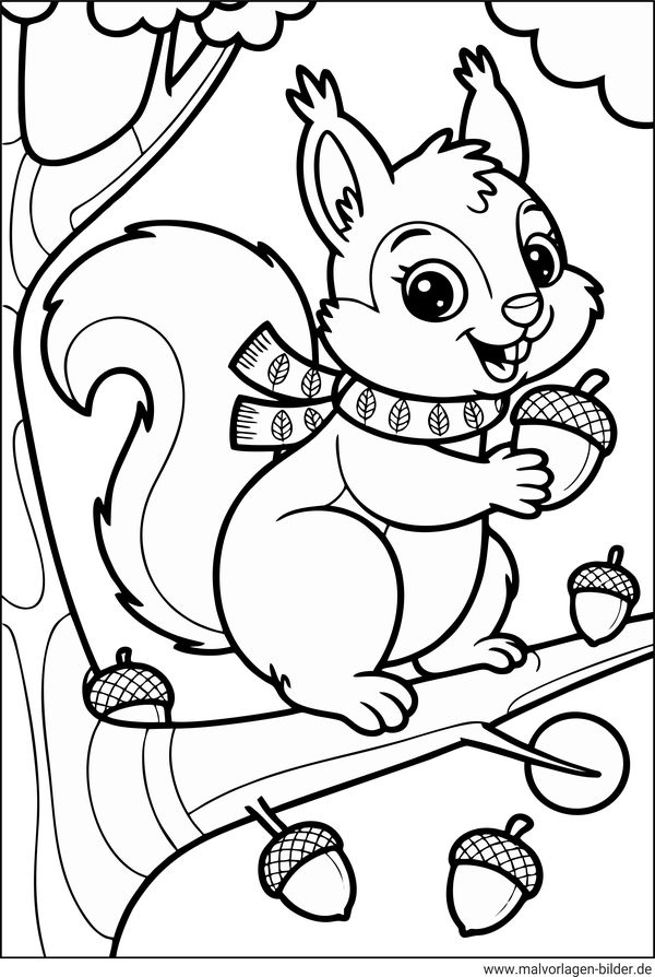 Ausmalbild Eichhörnchen PDF zum Ausdrucken