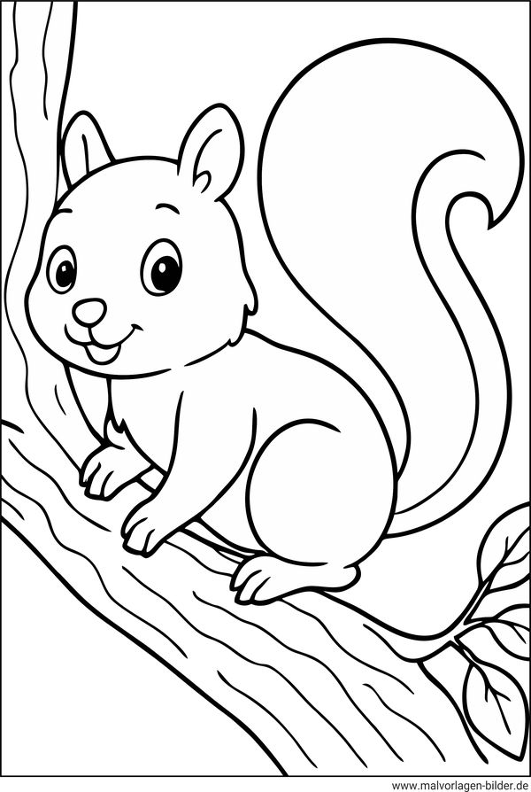 Ausmalbilder Eichhörnchen für Anfänger