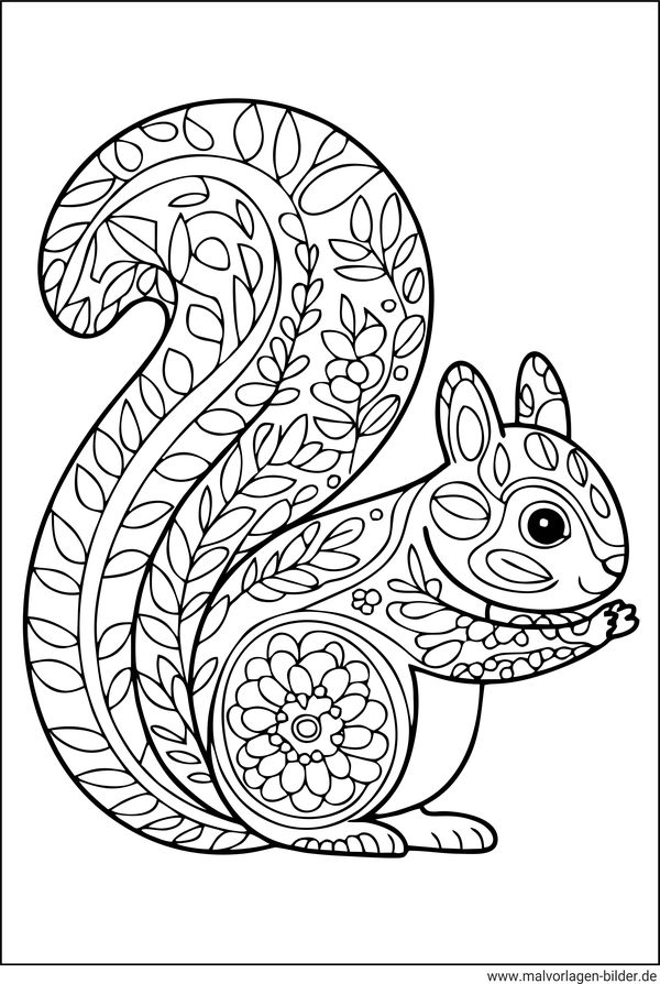 Eichhörnchen Ausmalbild Erwachsene