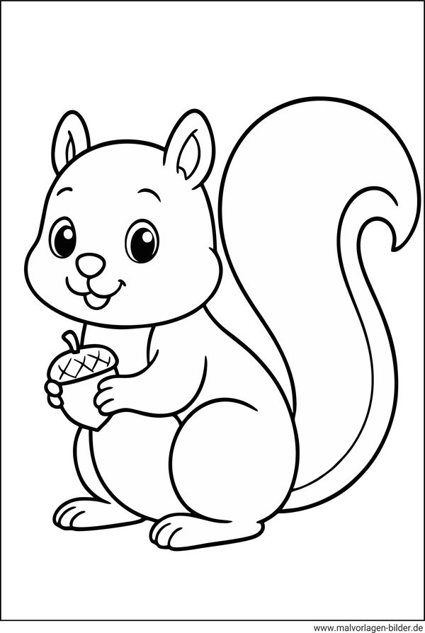Eichhörnchen Malvorlage einfach