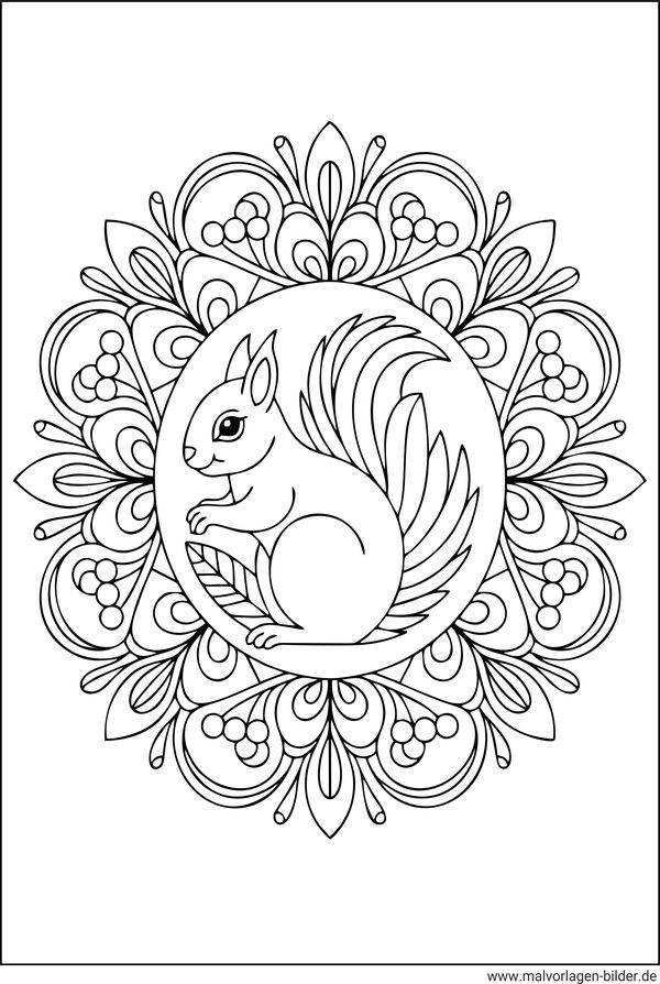 Eichhörnchen Mandala-Ausmalbild Erwachsene