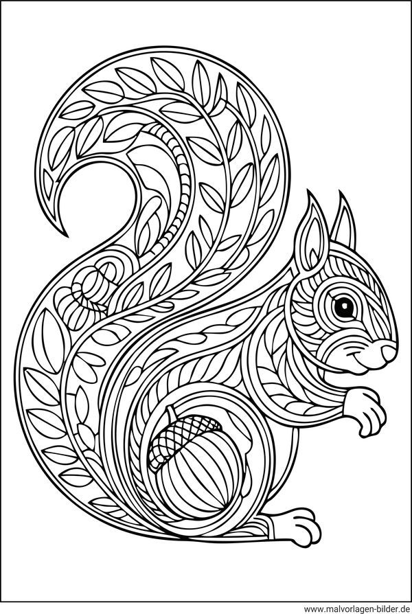 Eichhörnchen mit Muster Ausmalbild Erwachsene