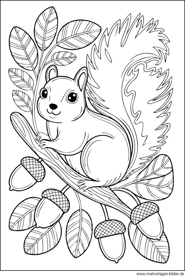 Eichhörnchen PDF-Ausmalbild zum Ausdrucken